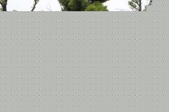 政府365bet娱乐场官网备用_365bet软件下_365bet赌场手机投注-07